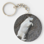 mountain goat key chain