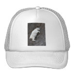 mountain goat mesh hats