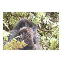 Mountain Gorilla Baby (3:2 ratio) up to 60" x 40"