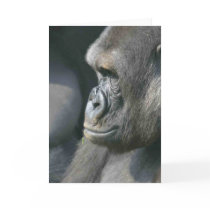 Mountain Gorilla Greeting Card