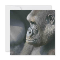 Mountain Gorilla Invitation