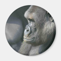 Mountain Gorilla Round Magnet