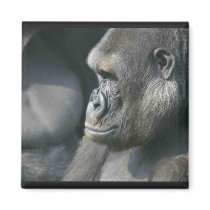 Mountain Gorilla Square Magnet