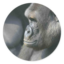 Mountain Gorilla Stickers