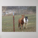Mountain Horses posters