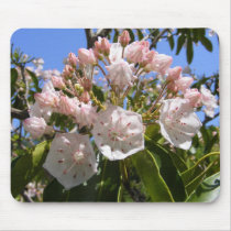 Mountain Laurel 46 ~ mousepad