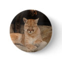 Mountain Lion buttons