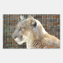 Mountain Lion / Cougar Rectangle Stickers
