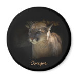 Mountain Lion Cougar Wildlife-lovers Magnet