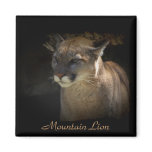 Mountain Lion Cougar Wildlife-lovers Magnet