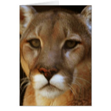 Mountain Lion Portrait Greeting Card