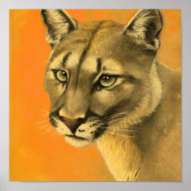Mountain Lion Print