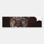 Mountain lion puma bumper sticker