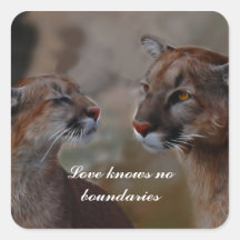 Mountain lions in love sticker