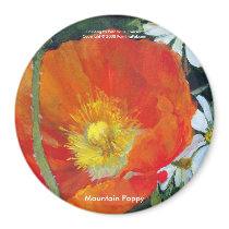Mountain Poppy, Magnet - Customised