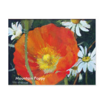 Mountain Poppy, Mountain Poppy Post Cards