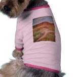 Mountain Road pet clothing