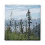 Mountain scene magnets