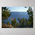 Mountain Sheep at the Grand Canyon Print