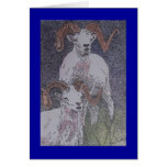 mountain sheep cards