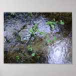 mountain stream print