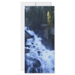 Mountain Stream rack cards