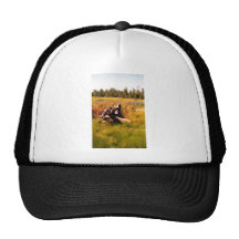 Mountain Stump Mesh Hats
