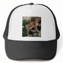 Mountain Tiger Mesh Hat