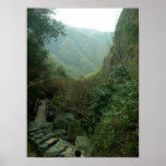 Mountain Trail Print