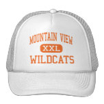 Mountain View - Wildcats - High - Stafford Hat