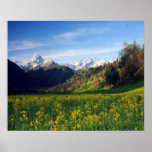 Mountains and Flowers Poster