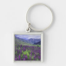 Mountains and wildflowers in alpine meadow, 2 keychains