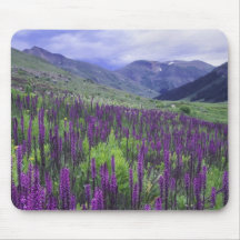 Mountains and wildflowers in alpine meadow, 2 mousemat