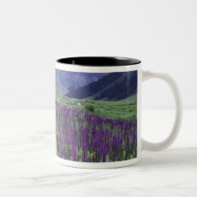 Mountains and wildflowers in alpine meadow, 2 coffee mug