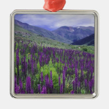 Mountains and wildflowers in alpine meadow, 2 christmas tree ornament