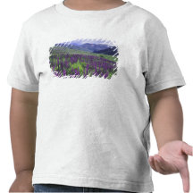 Mountains and wildflowers in alpine meadow, 2 tee shirts
