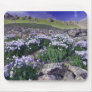 Mountains and wildflowers in alpine meadow, mousepad