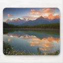 mountains mouse pad mousepads