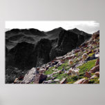 Mountainside Goats Print