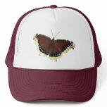 Mourning Cloak butterfly ~ hat