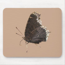 Mourning Cloak butterfly ~ mousepad