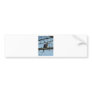 mourning dove bumper sticker