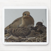 Mourning Dove Family Mousepads