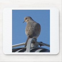 Mourning Dove Mouse Pad