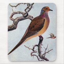 Mourning Dove Mouse Pad