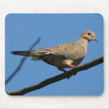 Mourning Dove Mousepad
