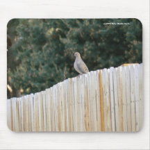 Mourning Dove Mousepad