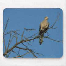 Mourning Dove Mousepad