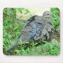 Mourning Dove Mousepad
