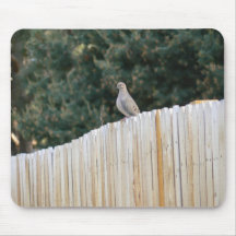 Mourning Dove Mousepads